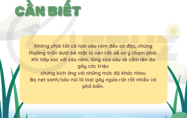 Bạn cần biết